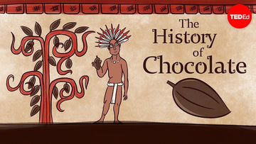 Why Chocolate Is More Than Just a Sweet Treat